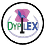Dypilex Group Ltd